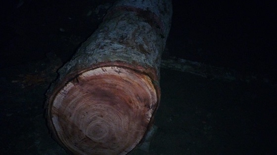 image-here